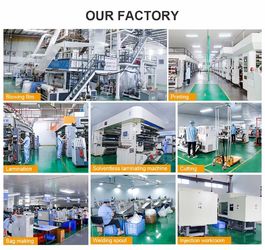 Κίνα DONGGUAN SEALAND PACKAGING BAG CO., LTD εργοστάσιο
