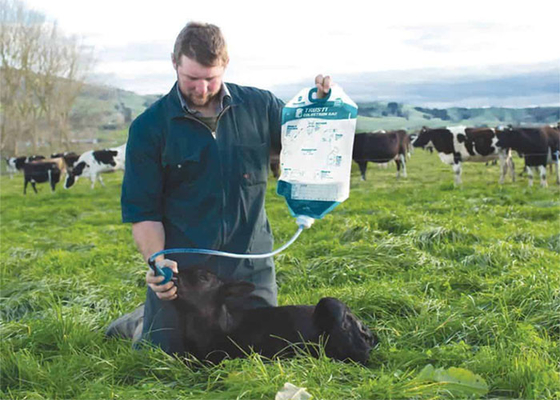 4L Colostrum μόσχων φύλλων αλουμινίου αργιλίου/σιλικόνης τσάντες με το σωλήνα σωλήνων
