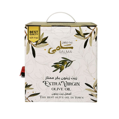 Convenient BIB bags in Box With Spout for Easy Dispensing and Customization