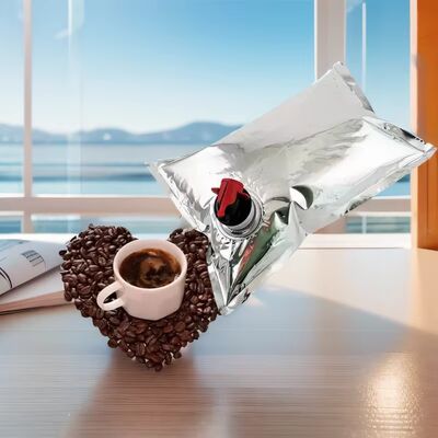 Προσαρμοσμένες σακούλες BIB σε κουτί με αξεσουάρ βρύσης ιδανικές για τη συσκευασία κρασιού, χυμού, λαδιού και άλλων υγρών προϊόντων